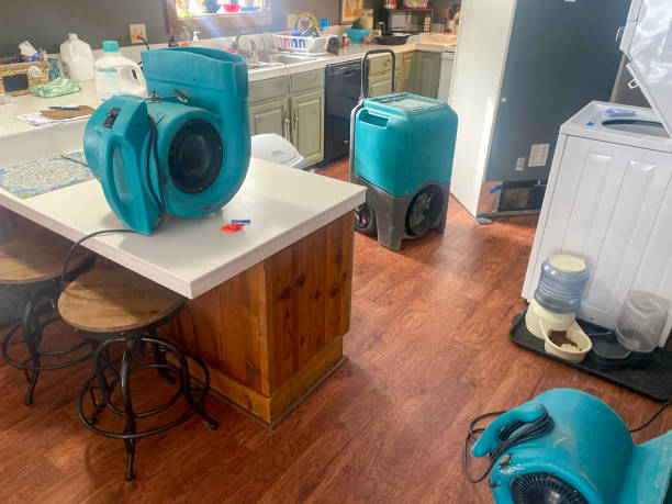 Best Professional water damage repair  in Coal Fork, WV