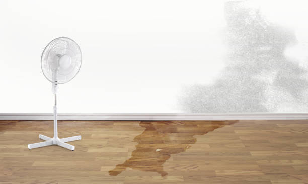 Best Water damage restoration services  in Coal Fork, WV