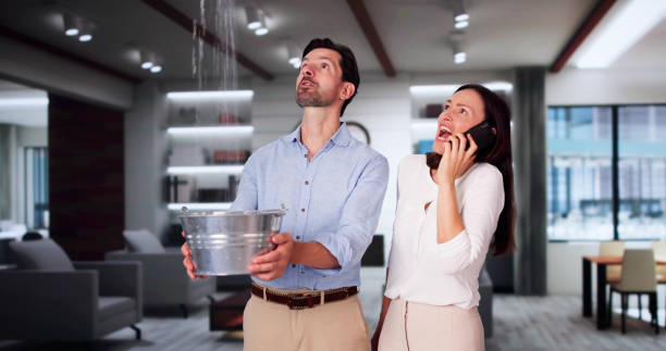 Best Water damage restoration near me  in Coal Fork, WV