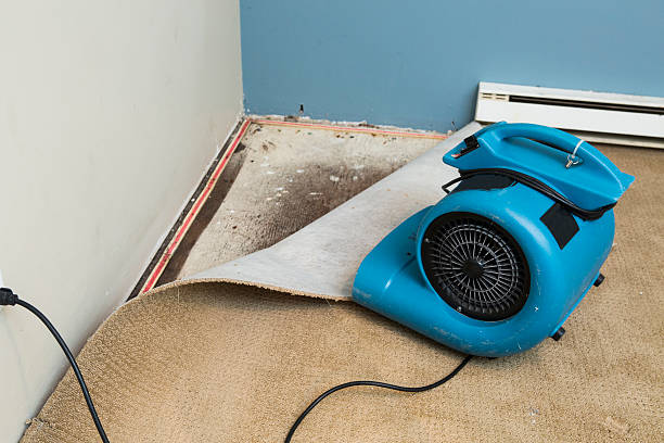 Best Water damage restoration company  in Coal Fork, WV